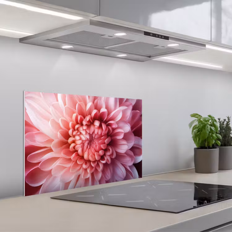 Fond de hotte - Dahlia - Fleur - Gros plan - Rose — 1