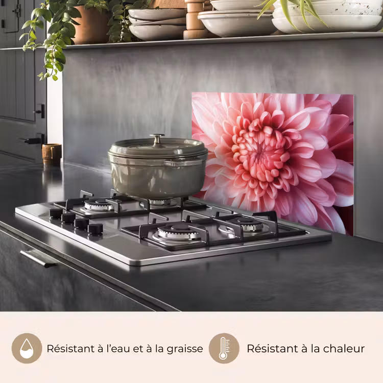 Fond de hotte - Dahlia - Fleur - Gros plan - Rose — 2