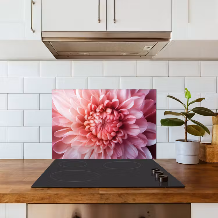 Fond de hotte - Dahlia - Fleur - Gros plan - Rose — 3