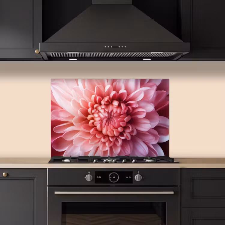 Fond de hotte - Dahlia - Fleur - Gros plan - Rose — 5