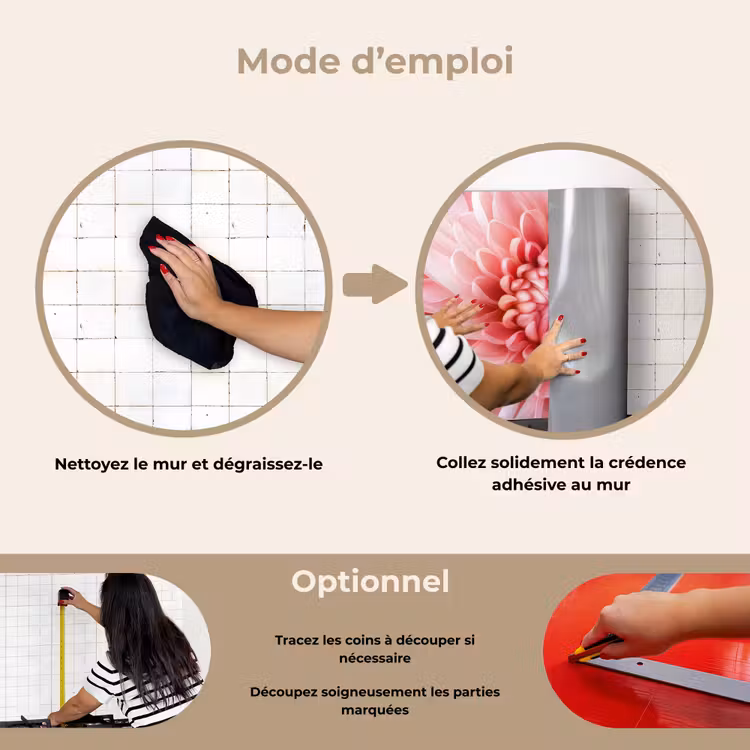 Fond de hotte - Dahlia - Fleur - Gros plan - Rose — 6