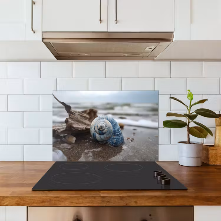 Fond de hotte - Coquillage - Plage - Bleu - Mer — 3