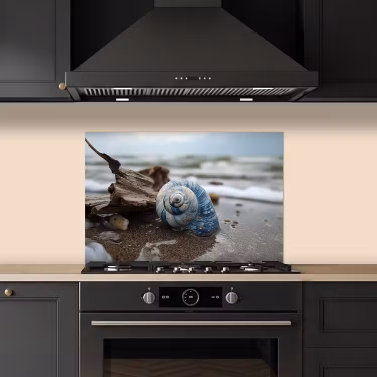 Fond de hotte - Coquillage - Plage - Bleu - Mer — 5