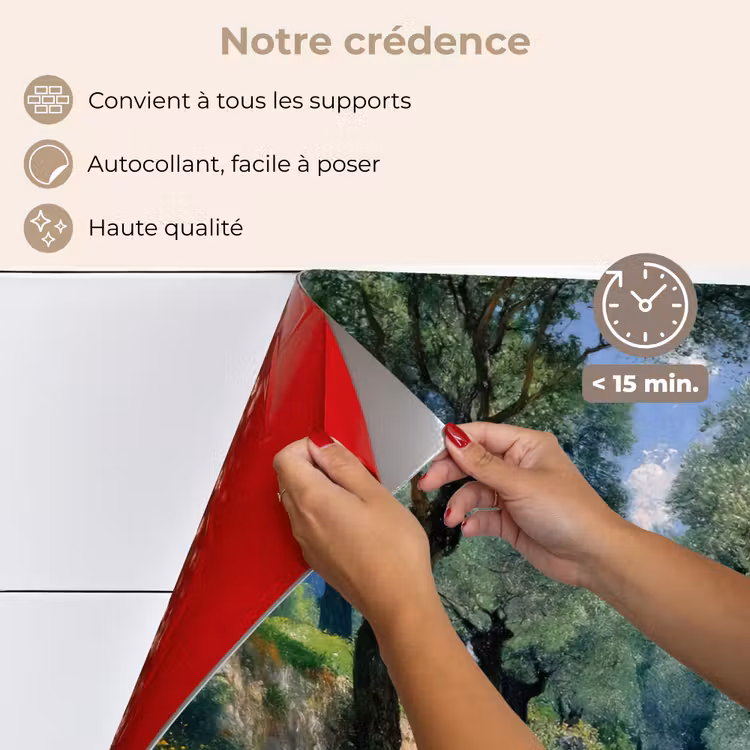 Fond de hotte - Chemin - Arbres - Ombre - — 4