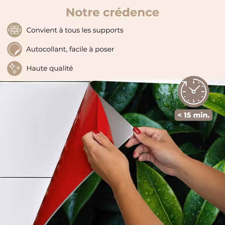 Fond de hotte - Feuilles - Gouttes de pluie - Lumière - Vert — 4