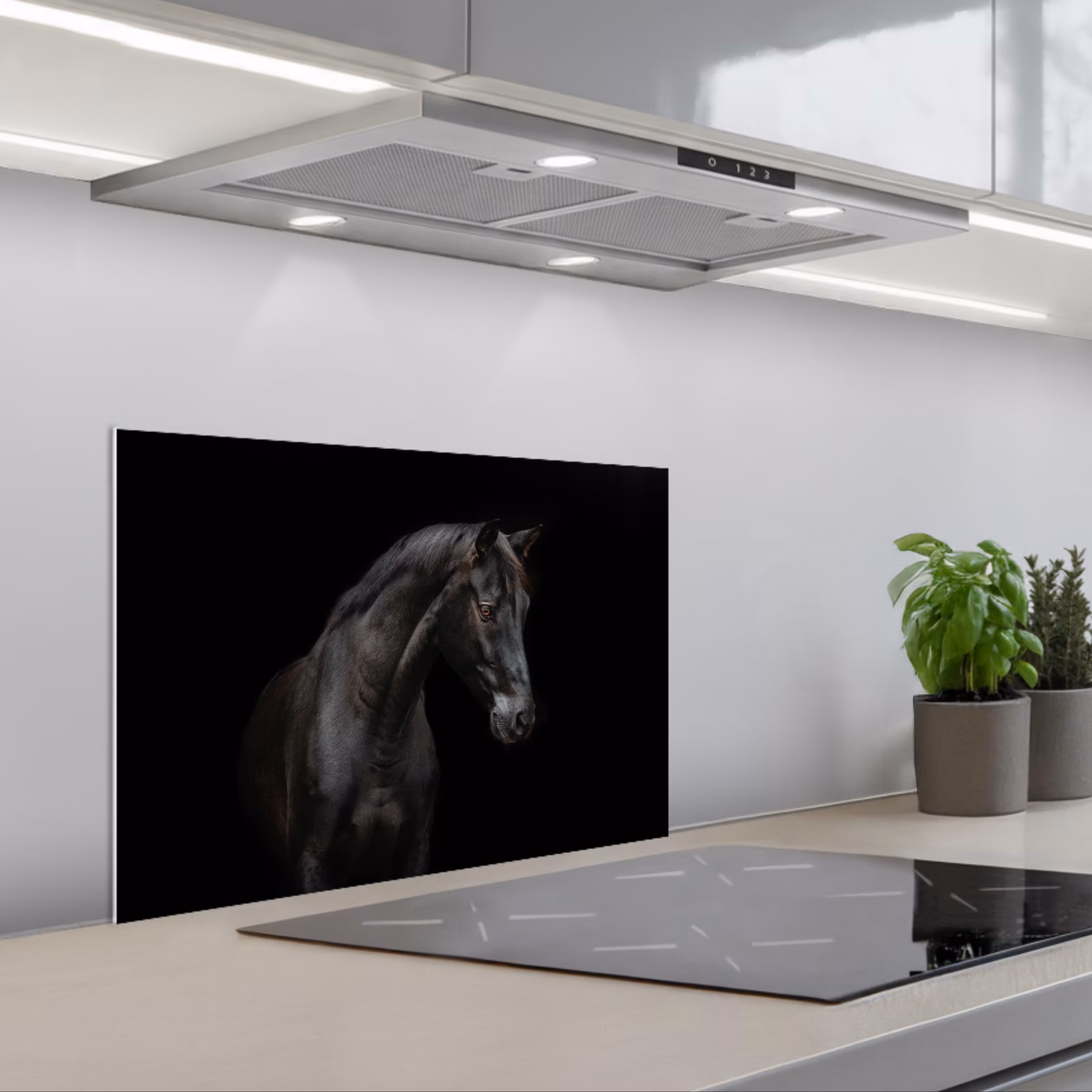 Fond de hotte - Cheval - Animaux - Noir - Portrait — 1