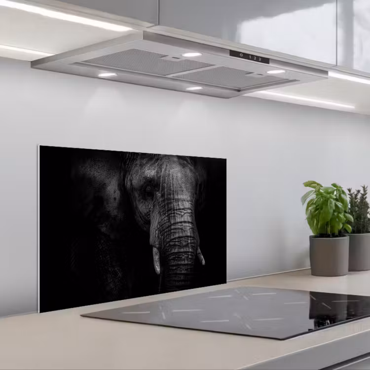 Fond de hotte - Éléphant - Animal - Portrait — 1