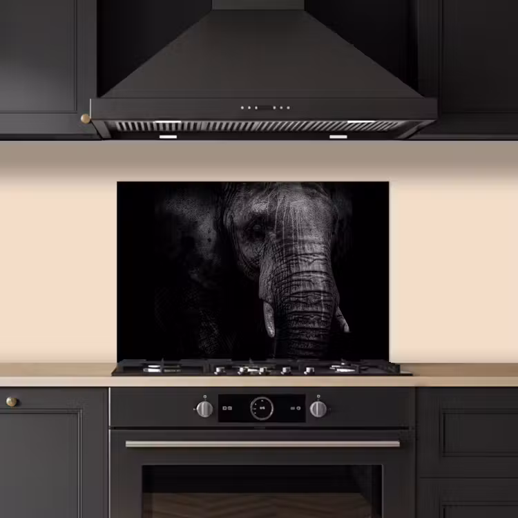 Fond de hotte - Éléphant - Animal - Portrait — 5