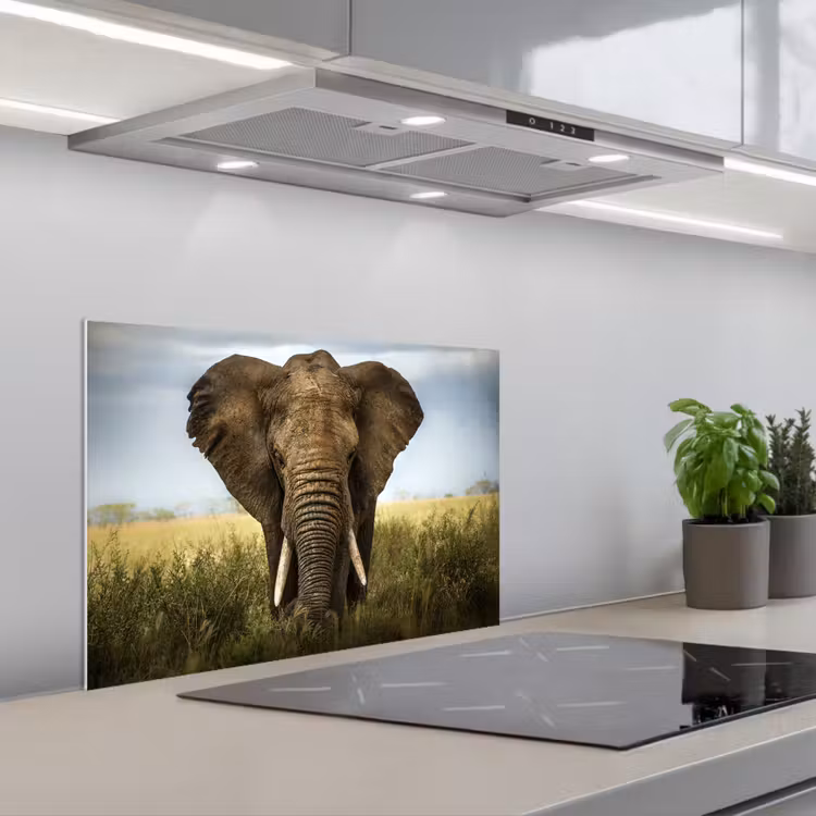 Fond de hotte - Éléphant - Nature - Herbe - Animaux - Paysage — 1