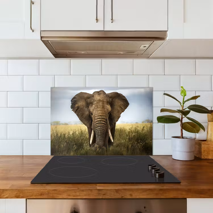 Fond de hotte - Éléphant - Nature - Herbe - Animaux - Paysage — 3