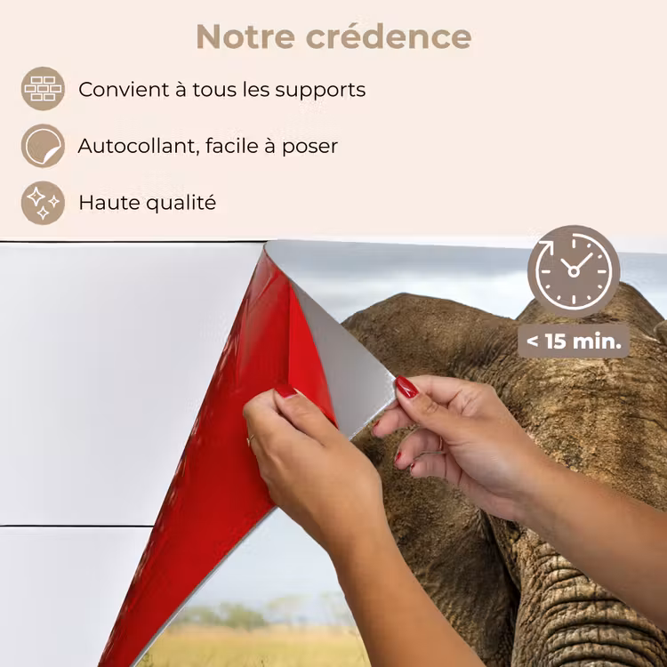 Fond de hotte - Éléphant - Nature - Herbe - Animaux - Paysage — 4