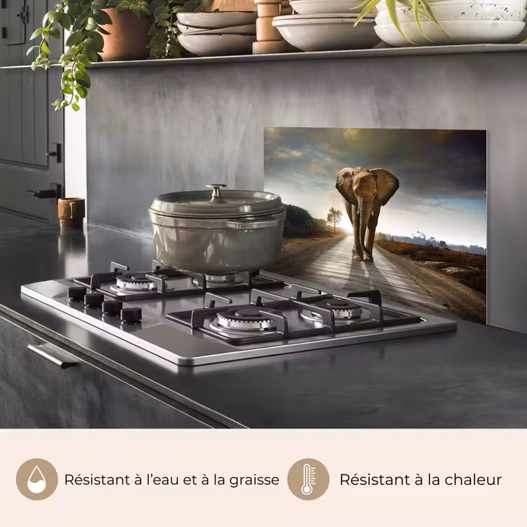 Fond de hotte - Éléphant - Route - Animaux - Coucher de soleil - Paysage — 2