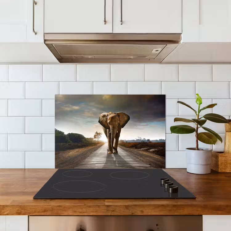 Fond de hotte - Éléphant - Route - Animaux - Coucher de soleil - Paysage — 3