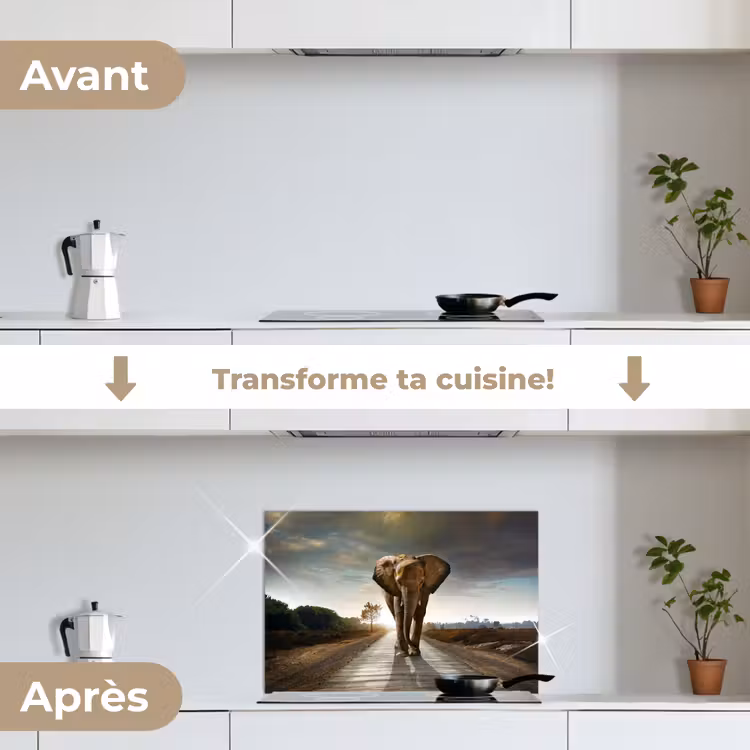 Fond de hotte - Éléphant - Route - Animaux - Coucher de soleil - Paysage — 7