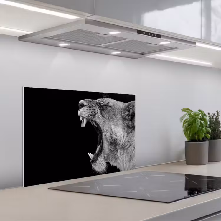 Fond de hotte - Animaux - Lion - Noir - Blanc - Portrait — 1