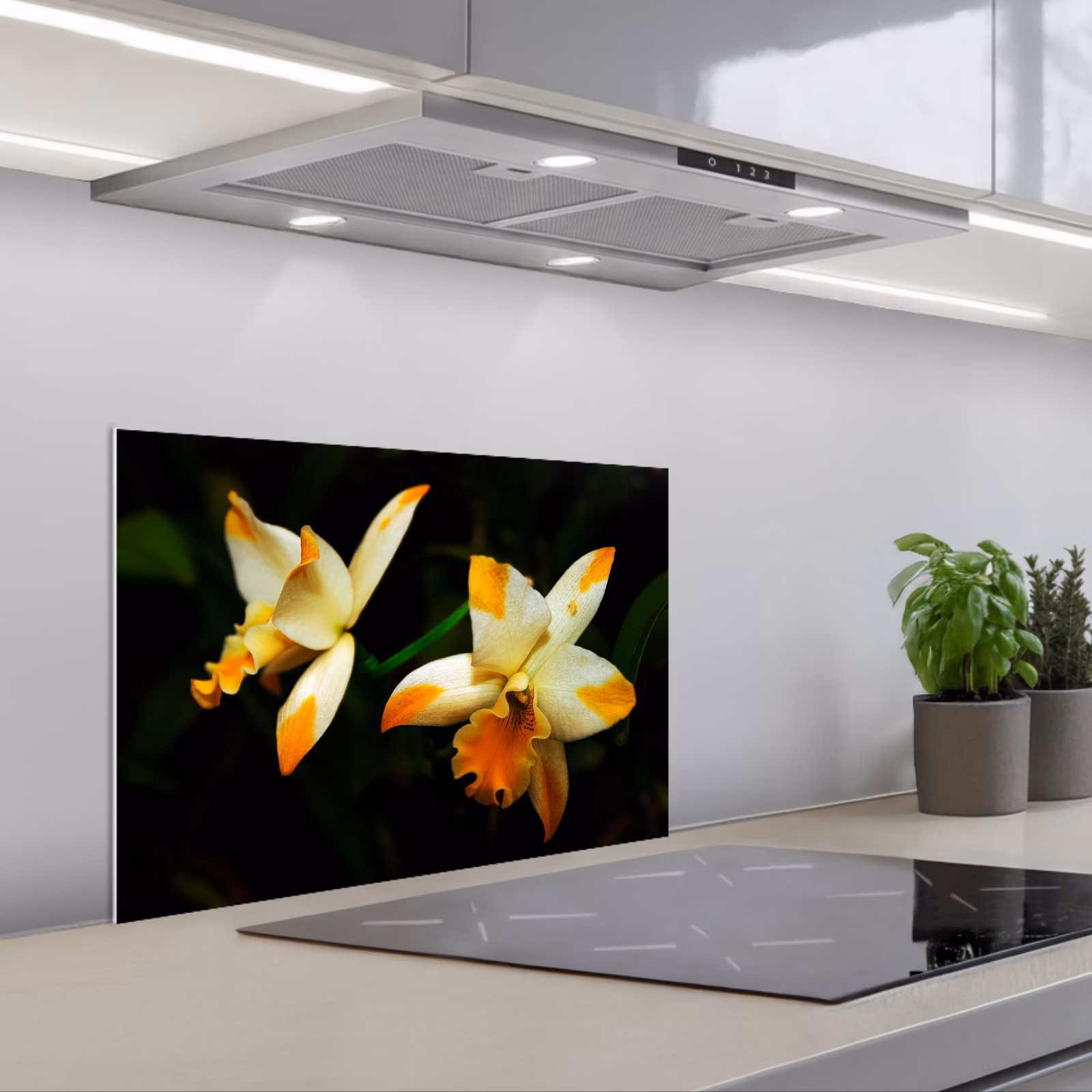 Fond de hotte - Deux fleurs d'orchidée — 1