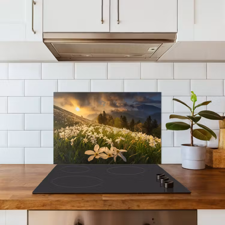 Fond de hotte - Champ de fleurs - Collines - Coucher de soleil - Montagne - Nature - Blanc - Collines — 3