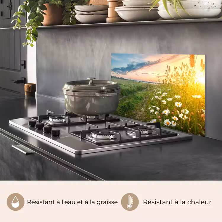 Fond de hotte - Fleurs - marguerite - Nature - Soleil - Horizon — 2