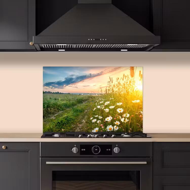 Fond de hotte - Fleurs - marguerite - Nature - Soleil - Horizon — 5