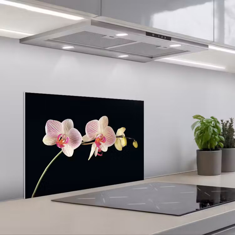 Fond de hotte - Élégance de l'orchidée rayée — 1