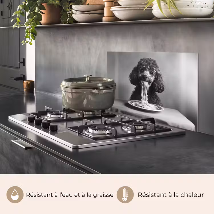 Fond de hotte - Caniche - Chien - Noir - Blanc - Mignon - Pâtes — 2