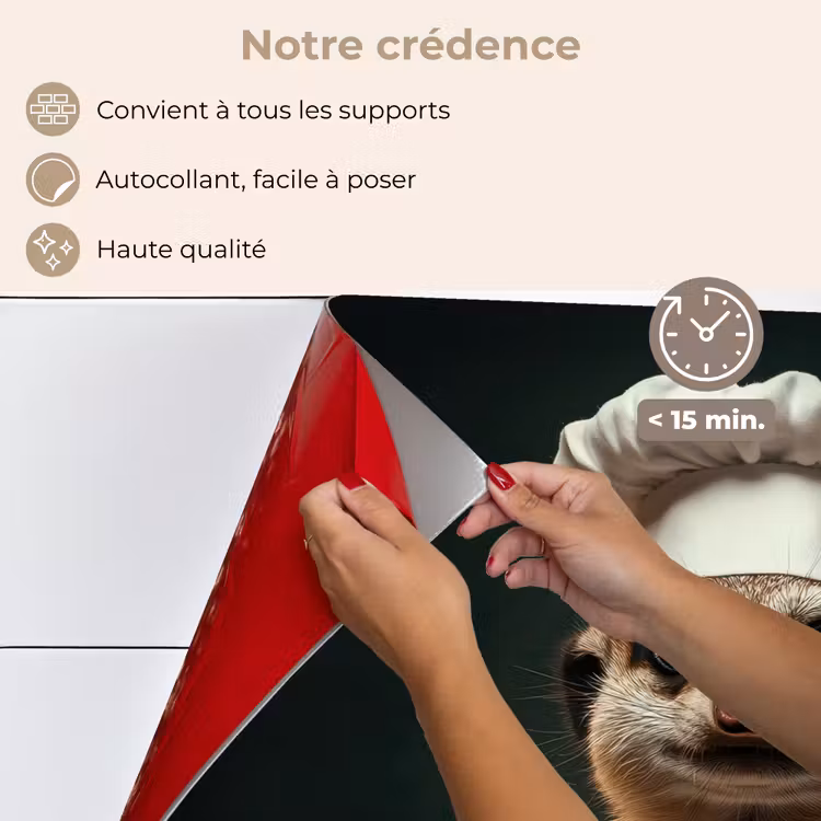 Fond de hotte - Animal - Cuisinier - Suricate — 4