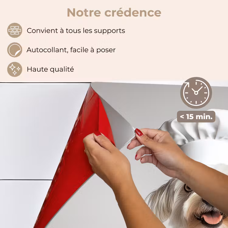 Fond de hotte - Chien - Blanc - Cuisinier — 4