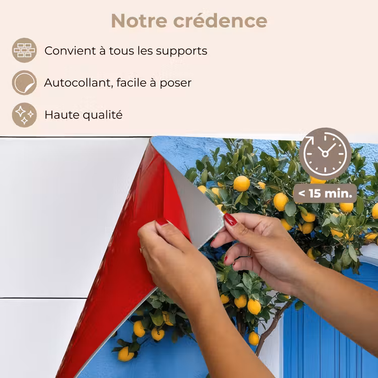Fond de hotte - Citronniers - Jaune - Porte - Pots — 4