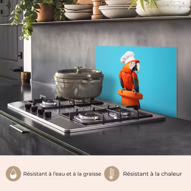 Fond de hotte - Ara - Toque - Piédestal - Amusant — 2