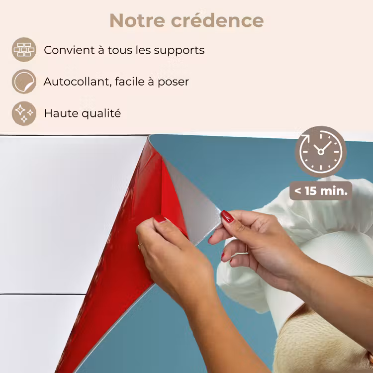 Fond de hotte - Canard - Toque - Mignon - Oiseau — 4