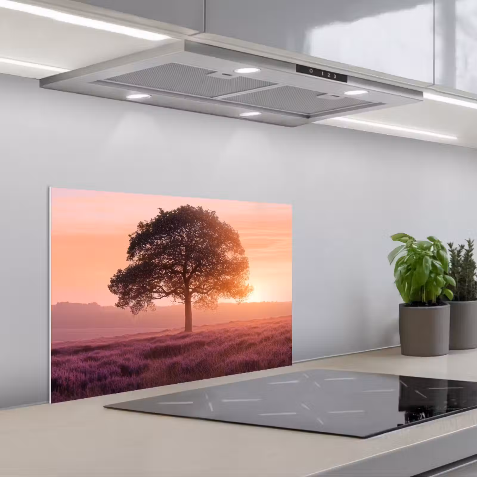 Fond de hotte - Arbre - Bruyère - Lever de soleil — 1