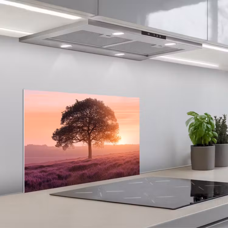 Fond de hotte - Arbre - Bruyère - Lever de soleil — 1