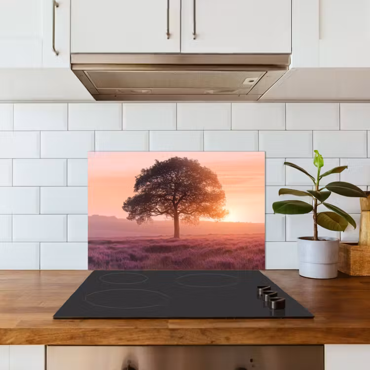 Fond de hotte - Arbre - Bruyère - Lever de soleil — 3