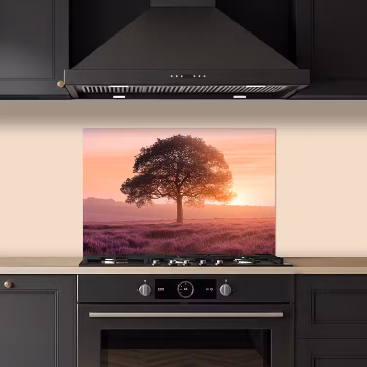 Fond de hotte - Arbre - Bruyère - Lever de soleil — 5