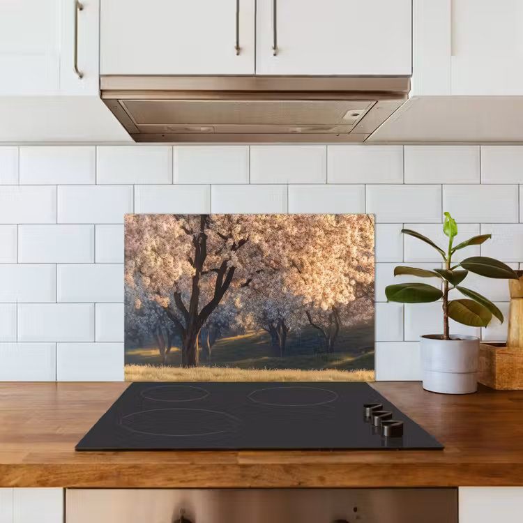 Fond de hotte - Arbres - Fleurir - Printemps — 3
