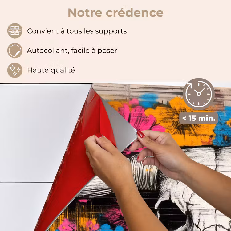 Fond de hotte - Crâne - Fleurs - Graffiti — 4