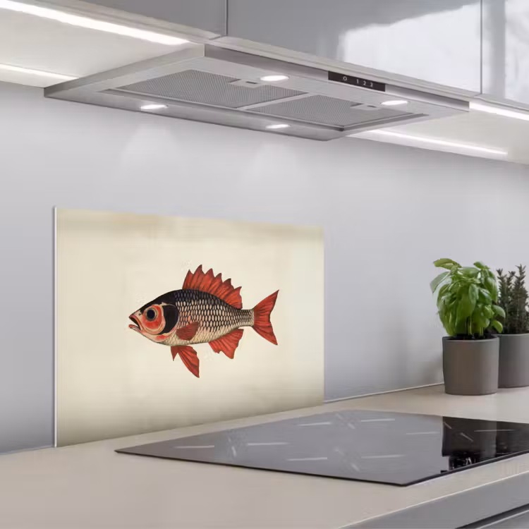 Fond de hotte - Écailles - Rouge - Poisson - Nageoires — 1