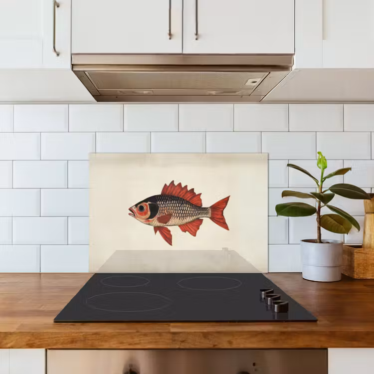 Fond de hotte - Écailles - Rouge - Poisson - Nageoires — 3