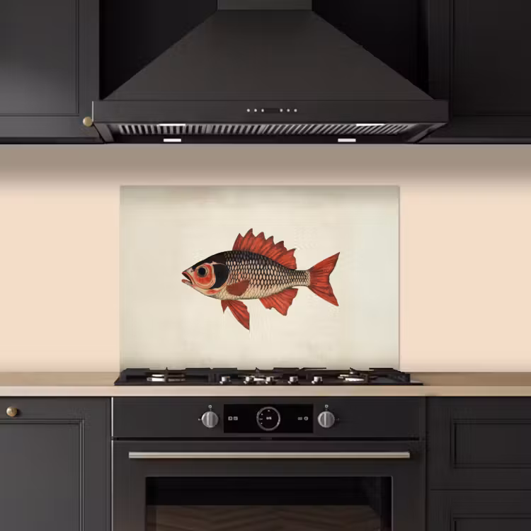 Fond de hotte - Écailles - Rouge - Poisson - Nageoires — 5