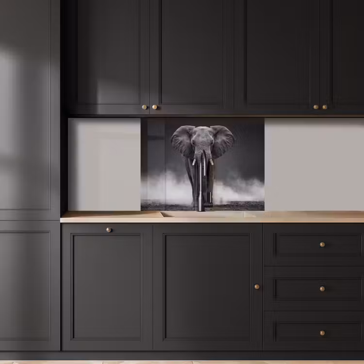 Crédence cuisine - Éléphant - Noir - Blanc - Fumée — 5