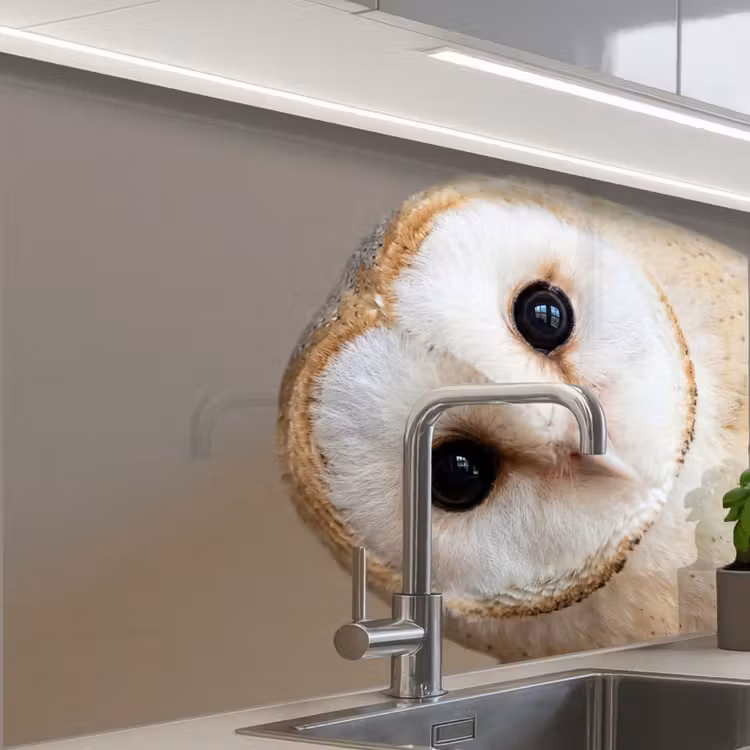 Crédence cuisine - Hibou - Marron - Blanc — 1
