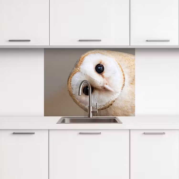 Crédence cuisine - Hibou - Marron - Blanc — 3