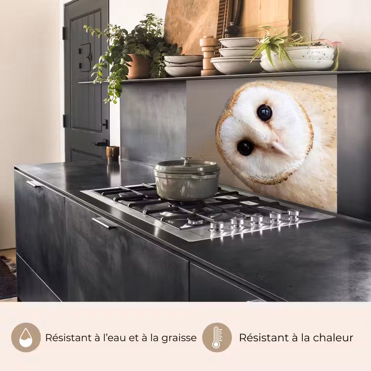 Crédence cuisine - Hibou - Marron - Blanc — 4