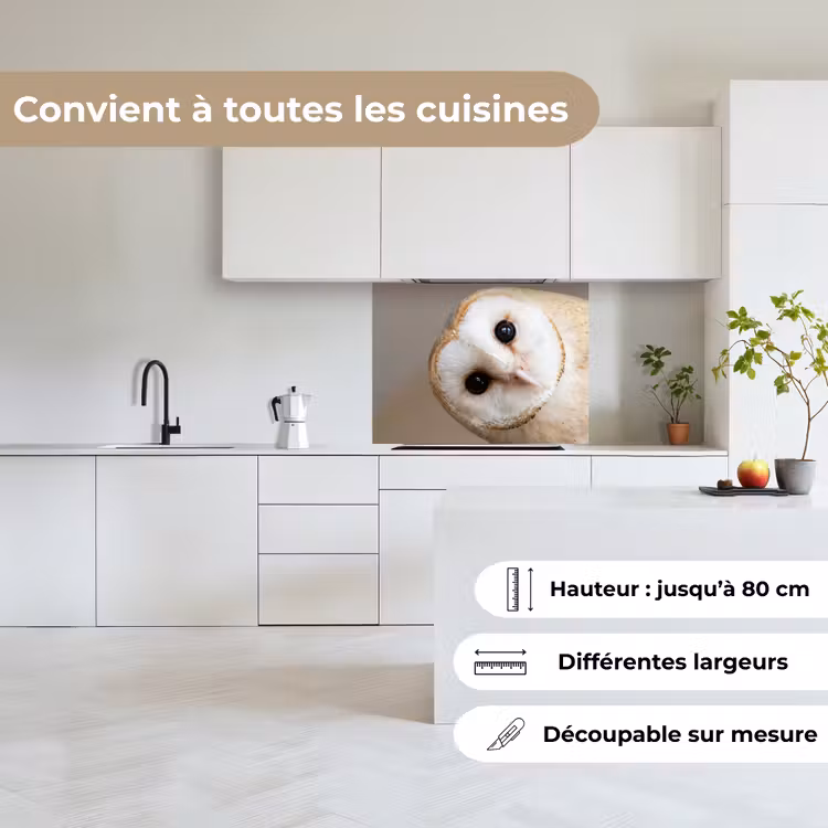Crédence cuisine - Hibou - Marron - Blanc — 6