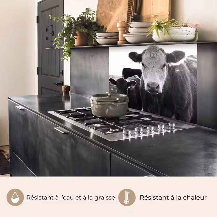 Crédence cuisine - Vaches - Noir et blanc — 4
