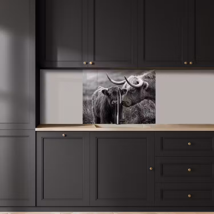 Crédence cuisine - Highlander écossais - Veau - Noir - Blanc — 5