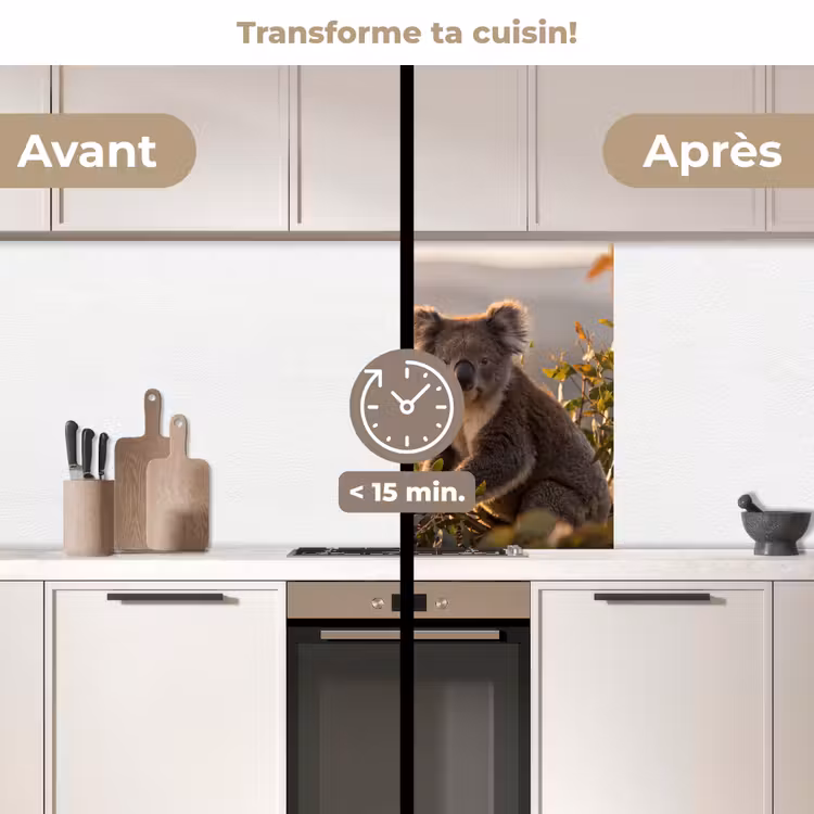 Crédence cuisine - Koala - Feuilles - Lumière du matin — 2