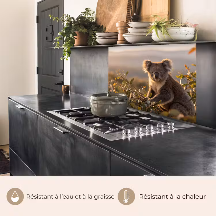 Crédence cuisine - Koala - Feuilles - Lumière du matin — 4