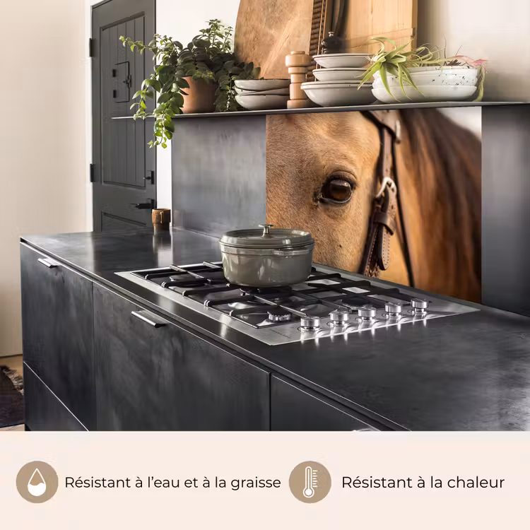Crédence cuisine - Cheval - Oeil - Marron — 4