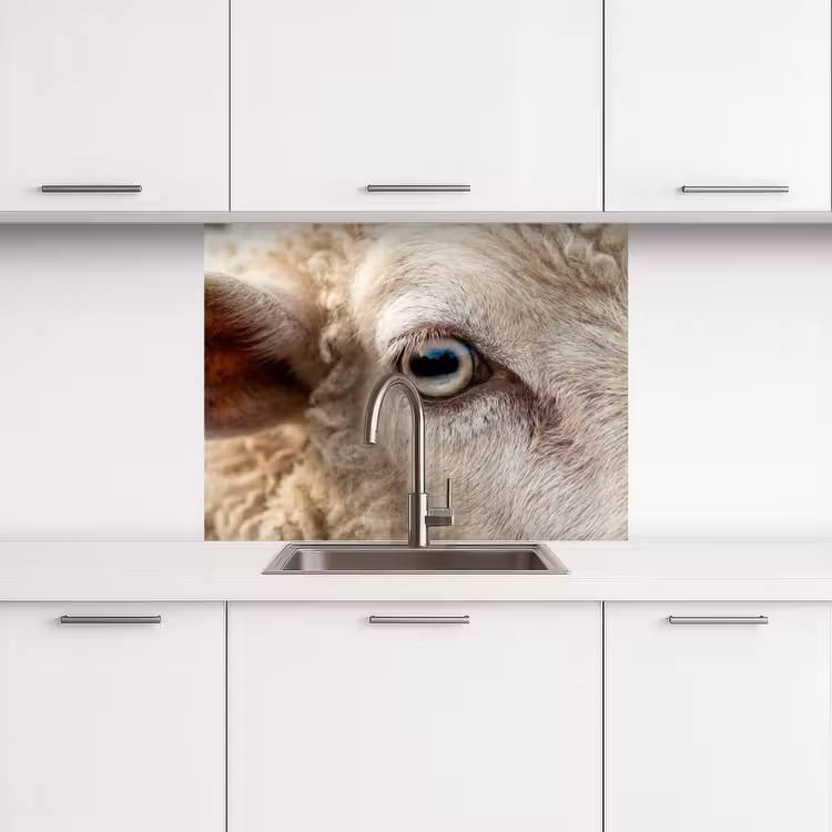 Crédence cuisine - Mouton - Oeil - Blanc — 3